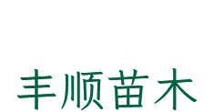 朝天門火鍋